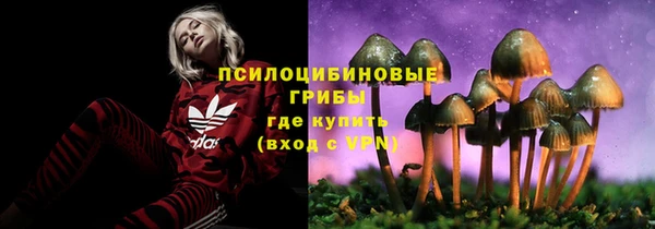 кокс Новозыбков