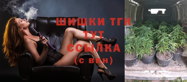 ешки Надым