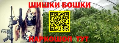 СК Гусев