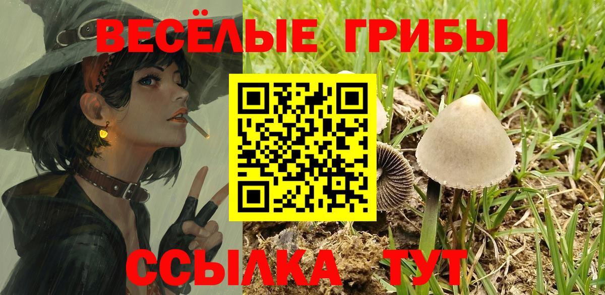 Галлюциногенные грибы ЛСД Калининград