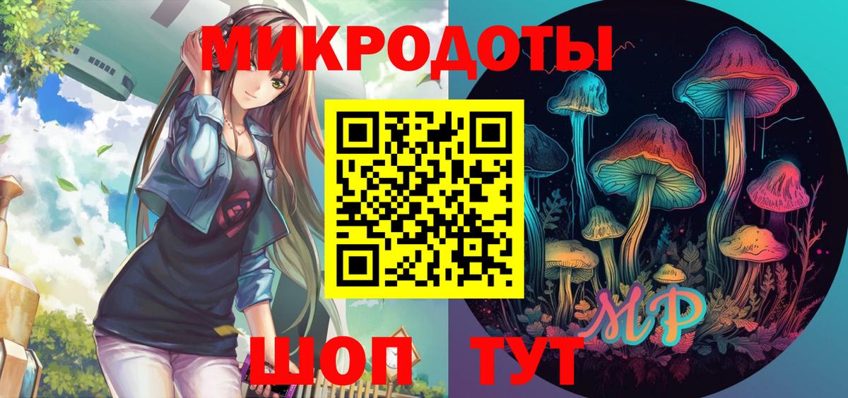 купить закладку  Галлюциногенные грибы GOLDEN TEACHER  Калининград  Псилоцибиновые грибы Psilocybine cubensis 