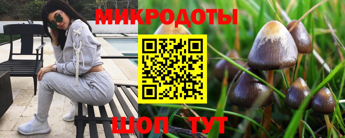 Галлюциногенные грибы MAGIC MUSHROOMS  Галлюциногенные грибы мухоморы  Вход с VPN  Калининград 